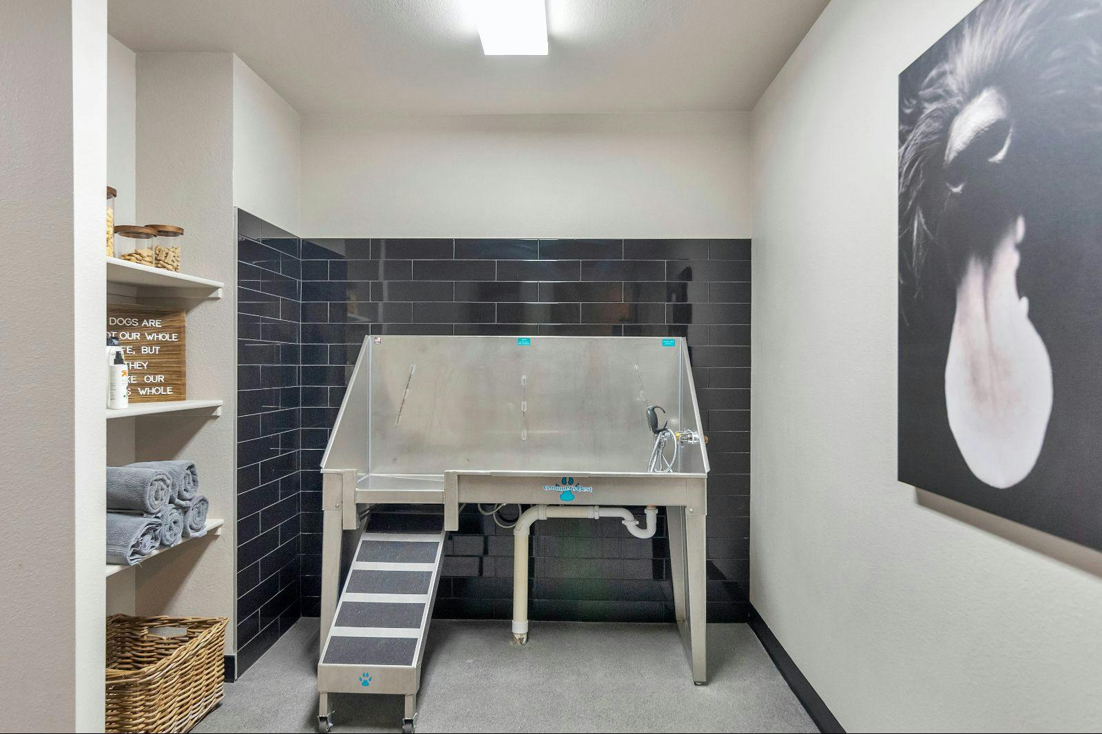 Dog-Washing Room