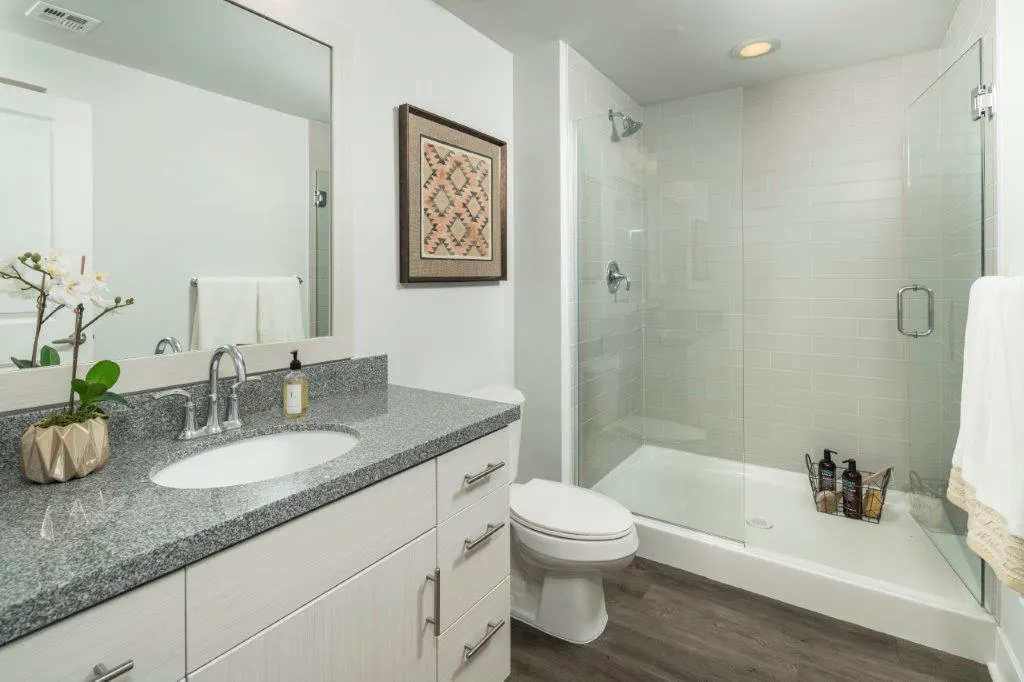 Luxurious Bathroom Features