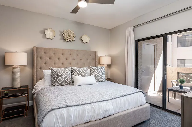 Contemporary Bedroom with Plush Carpeting