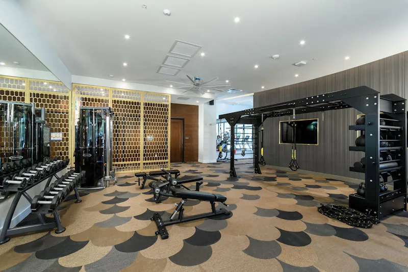 Elevate your Routine
