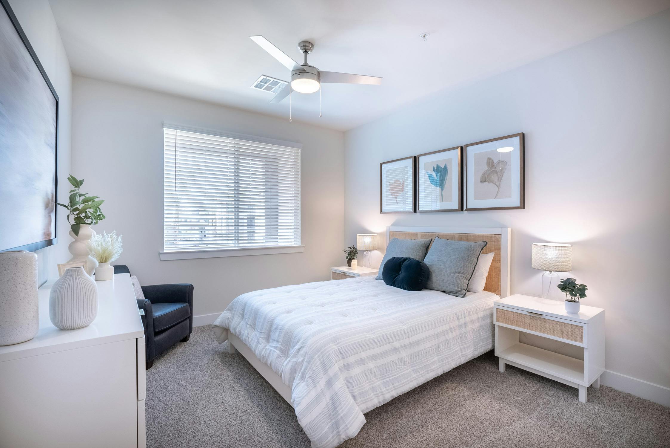 Designer Interiors