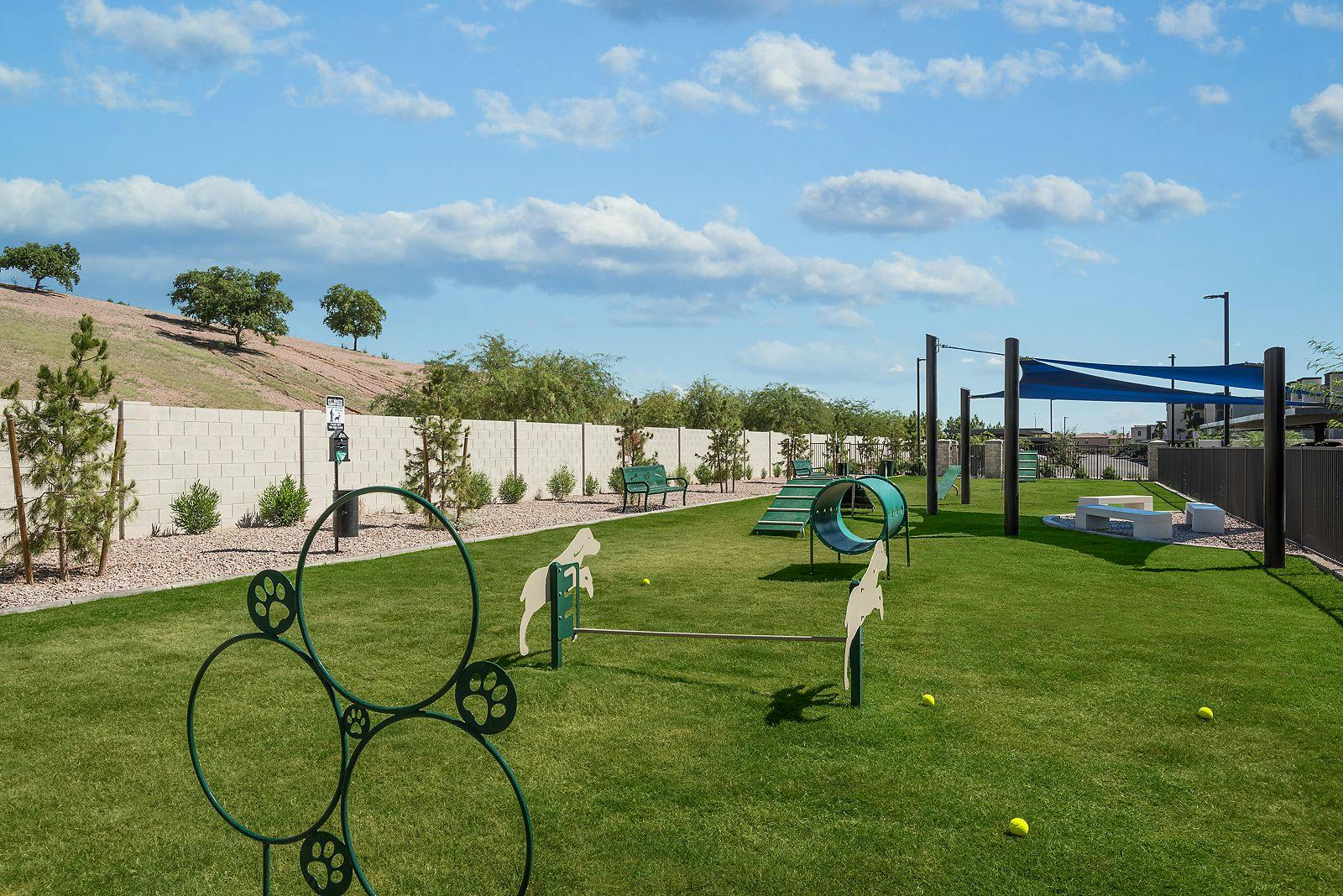 Dog Park