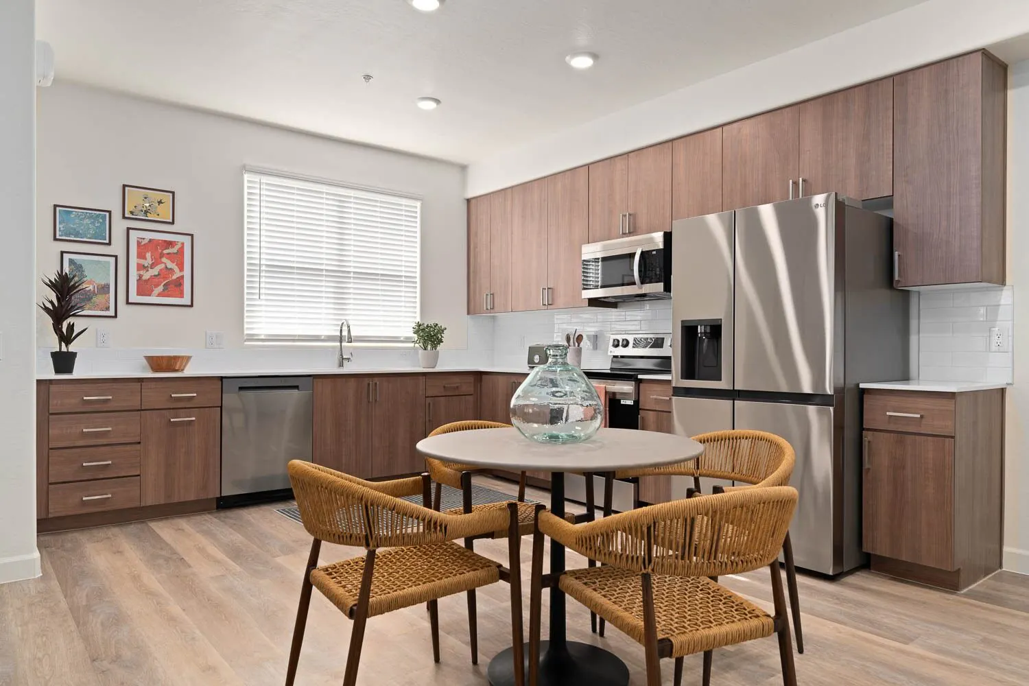 Stainless Steel Appliances