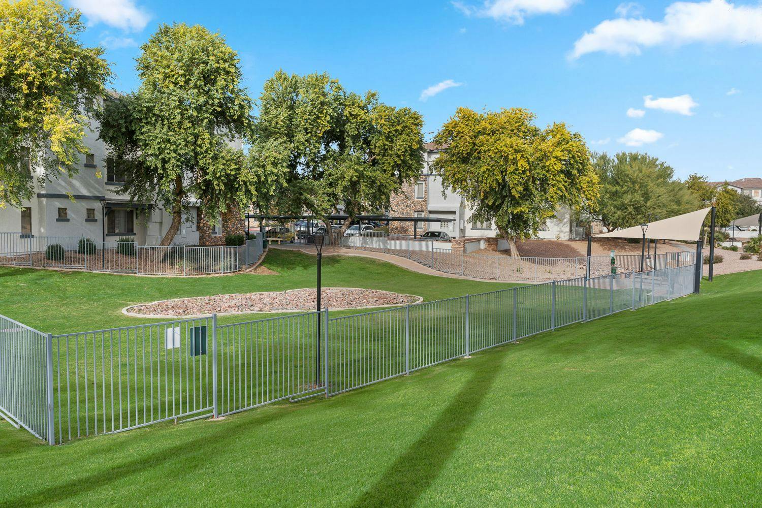Large Dog Park