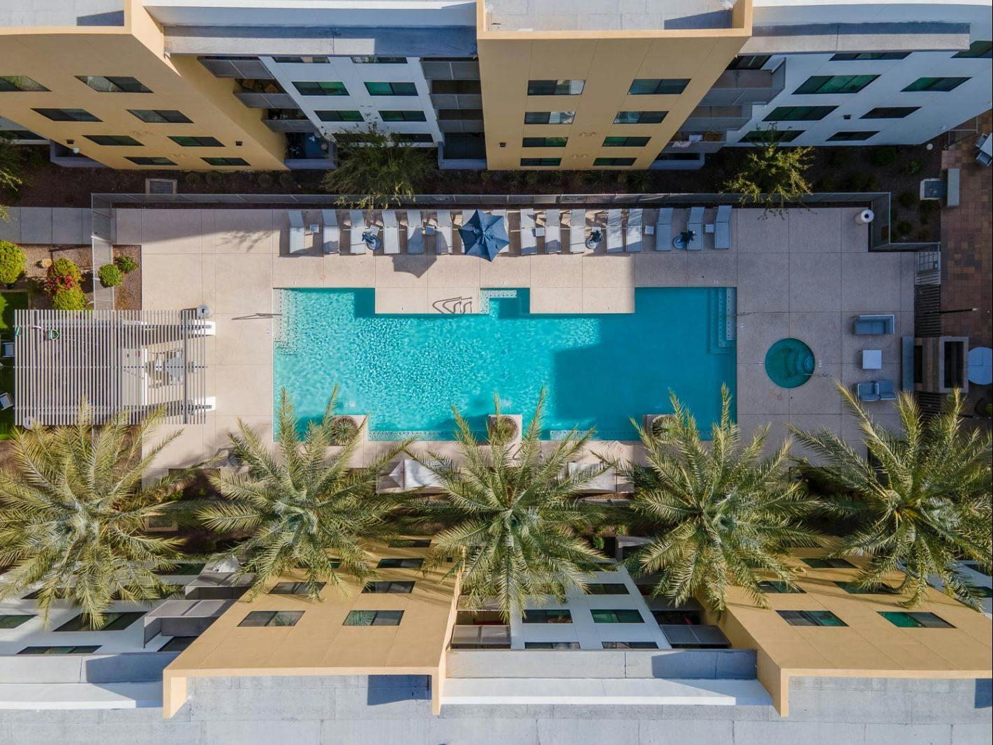 Stunning Swimming Pool
