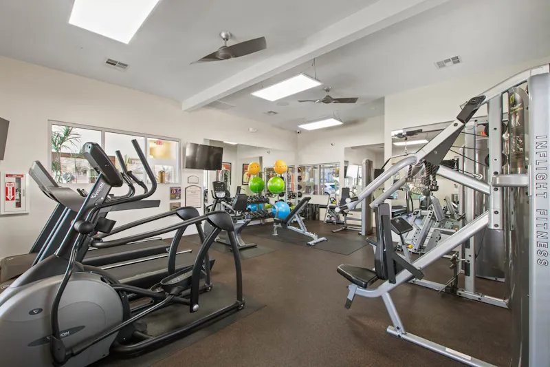 Elevated Fitness Center