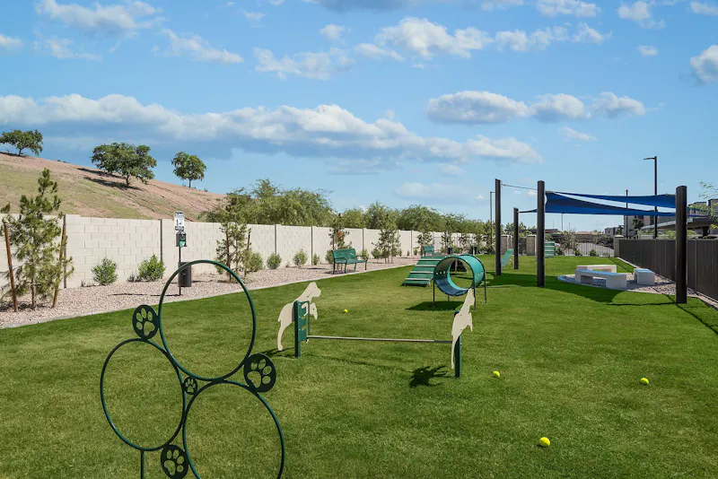 Dog Park