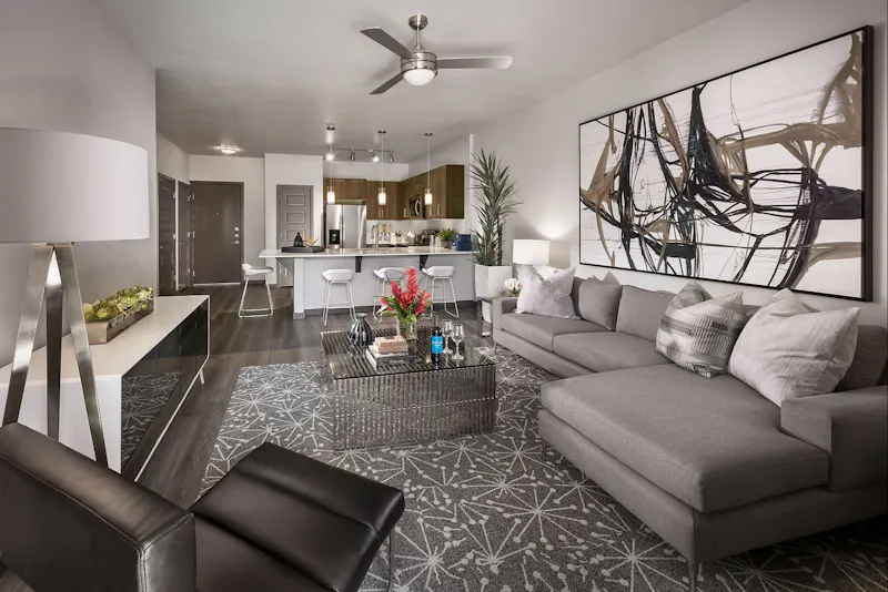 Luxury Living Area