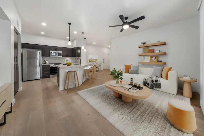 Open Layout Living Room and Kitchen Design