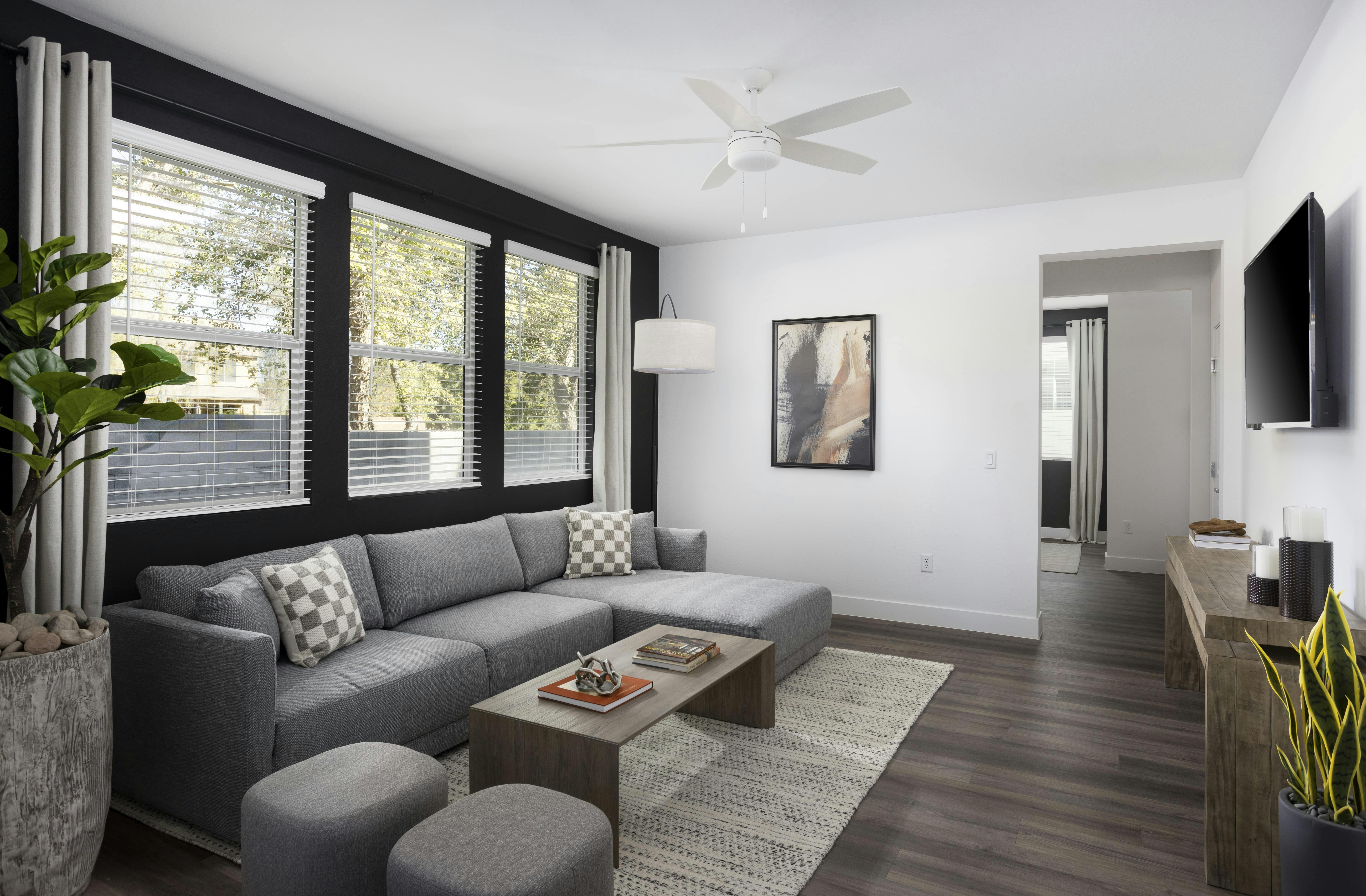 Ample Natural Light