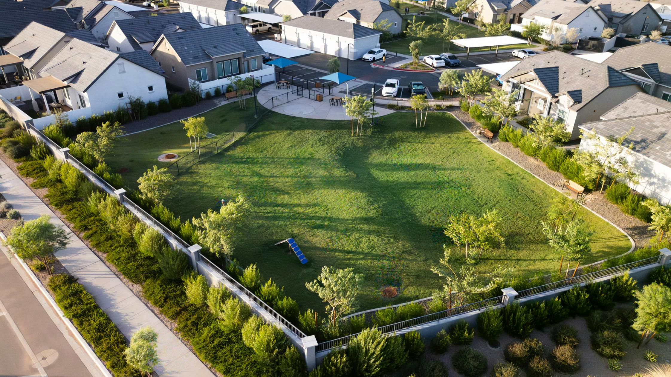 Pet-Friendly Community Dog Area