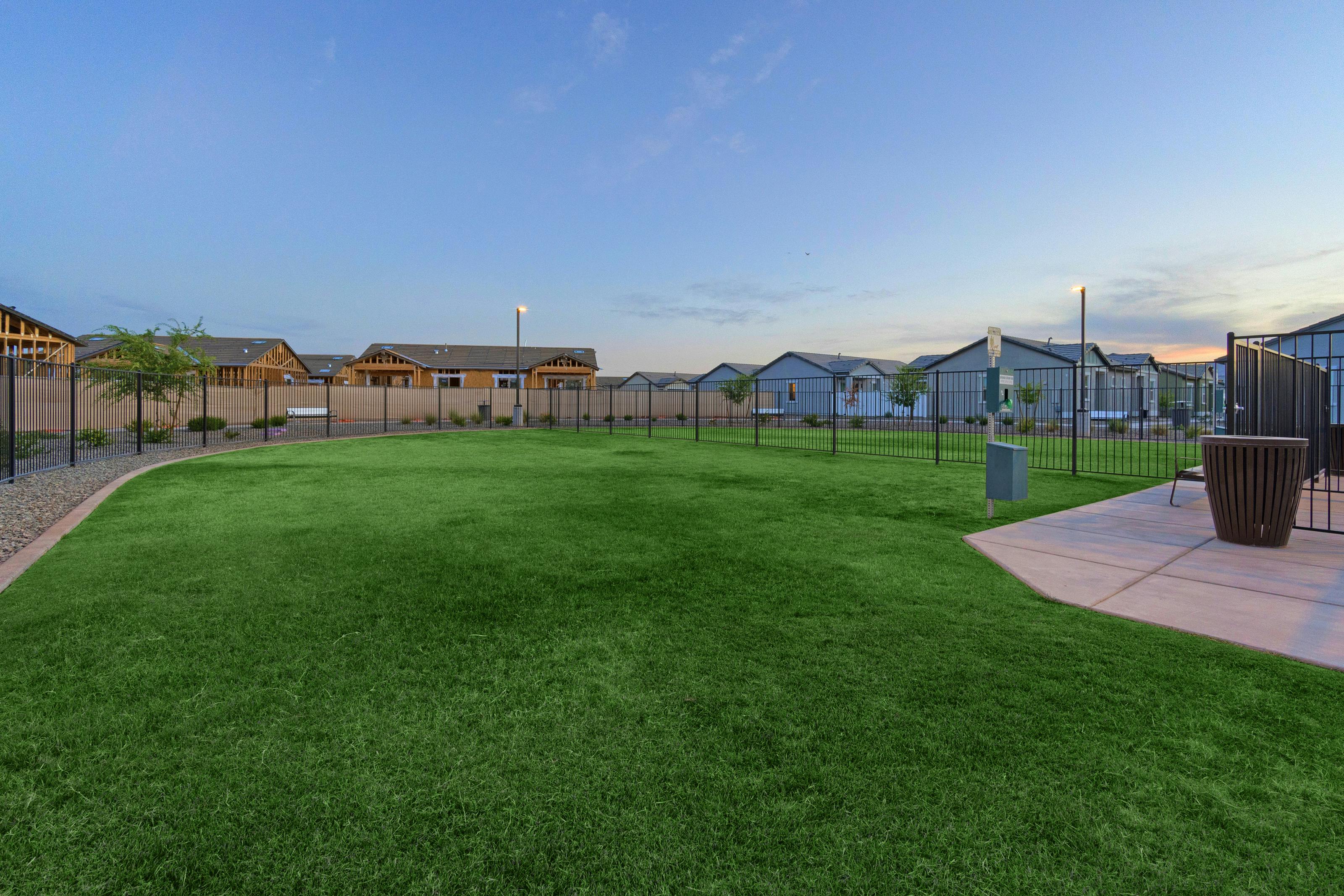 Pet-Friendly Amenities