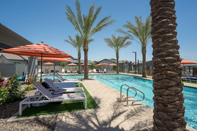 Poolside Lounge Chairs