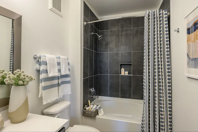 Luxurious Bathroom