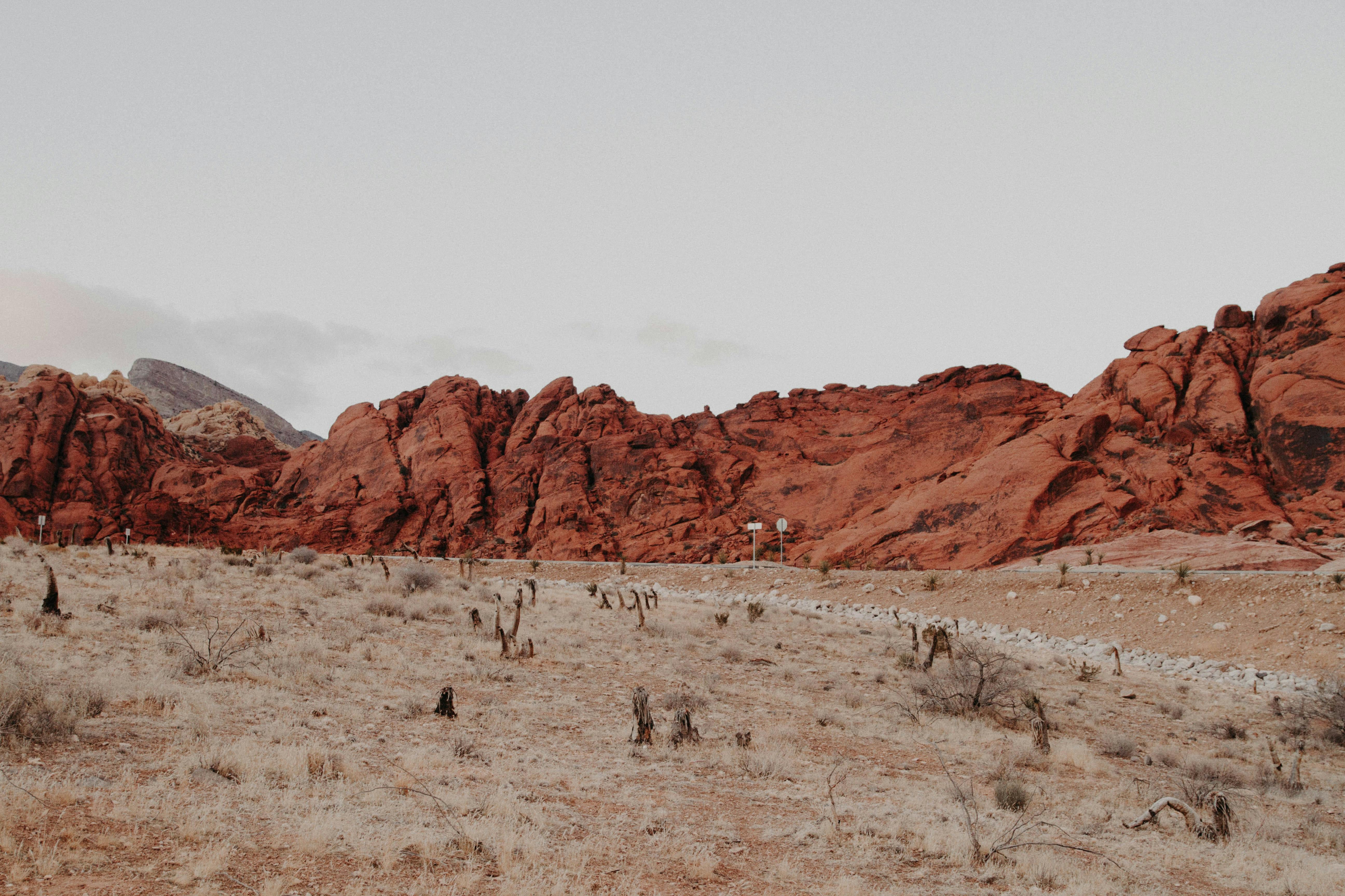 Prime Mesa Location