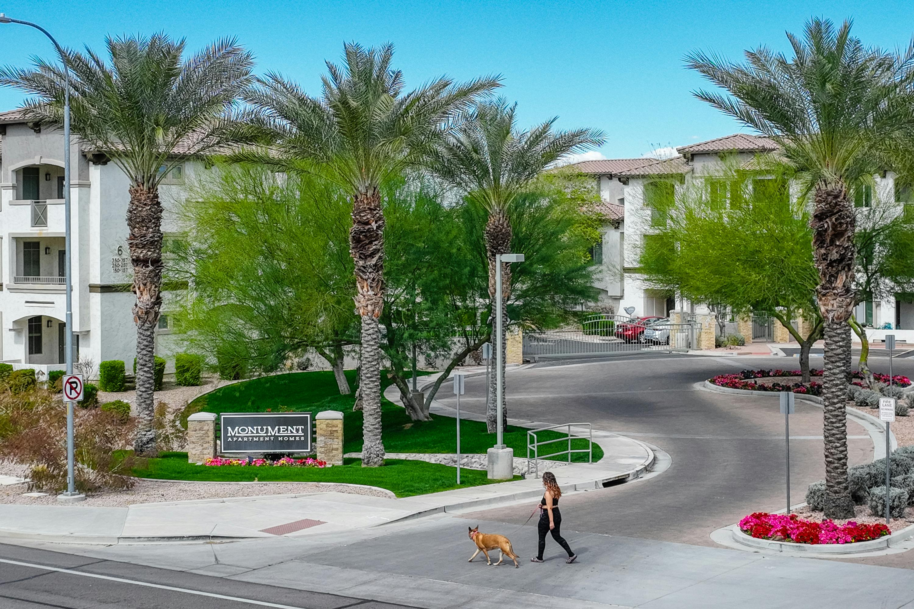 Pet-Friendly Community