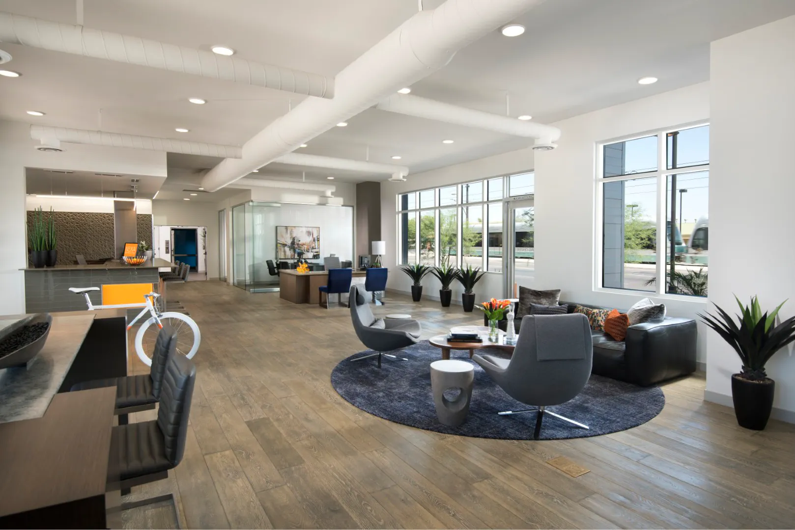 Designer Lounge Space