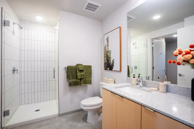 Luxurious Bathroom Finishes