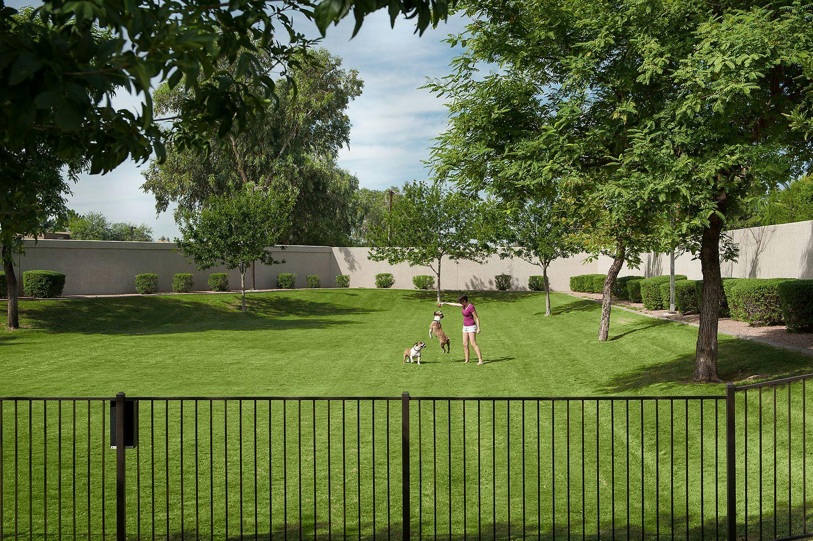 Community Dog Park
