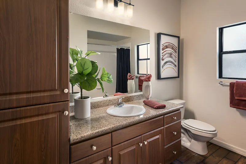 Upscale Bathroom