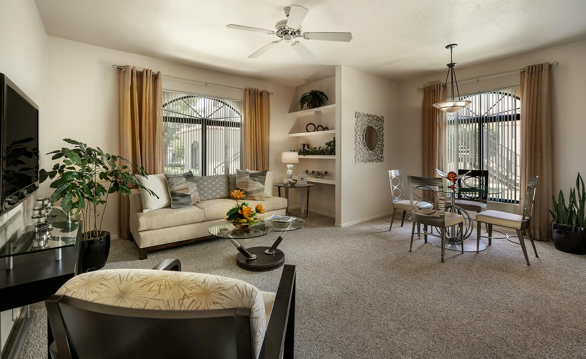 Modern, Luxurious Living