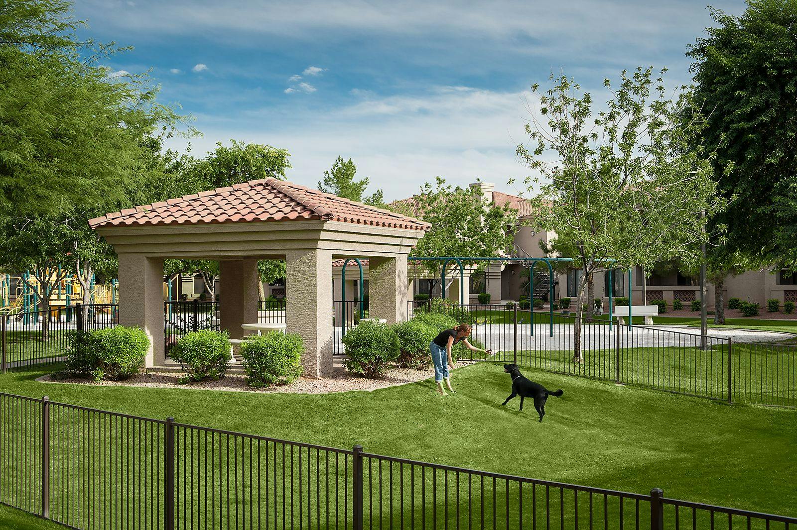 Dog Park