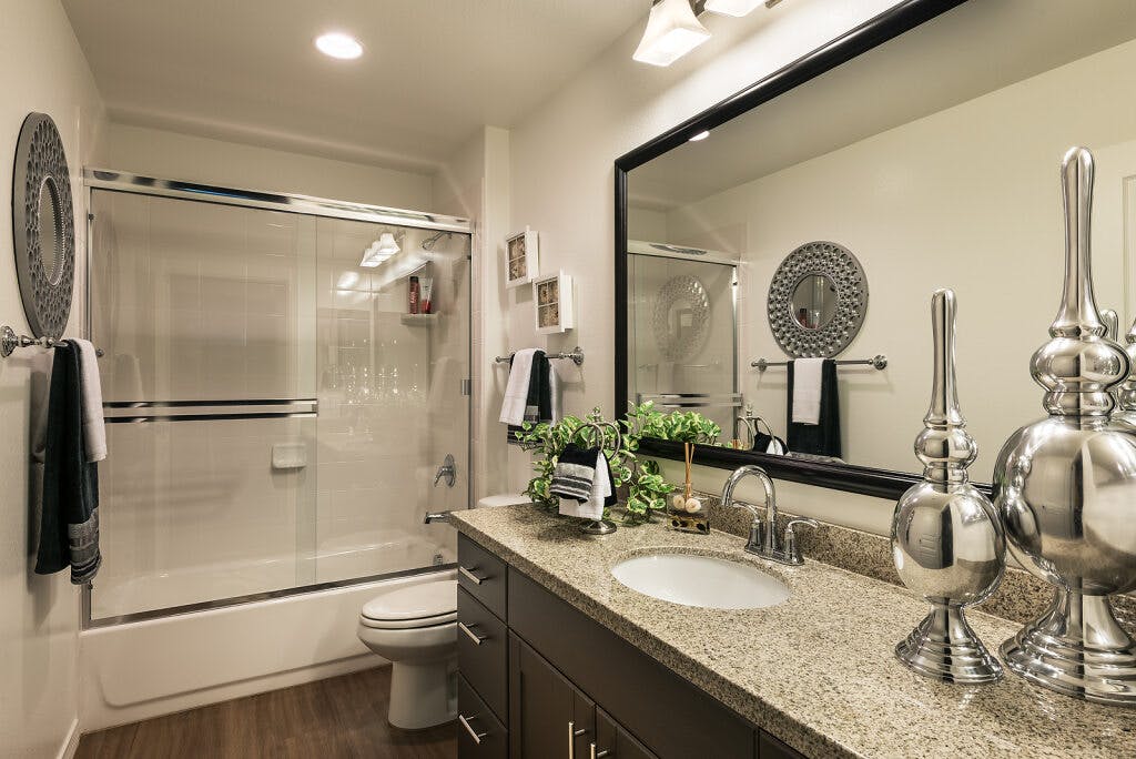Spacious, Modern Apartments