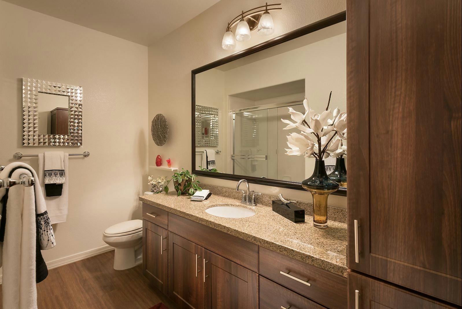 Luxurious Bathroom Finishes