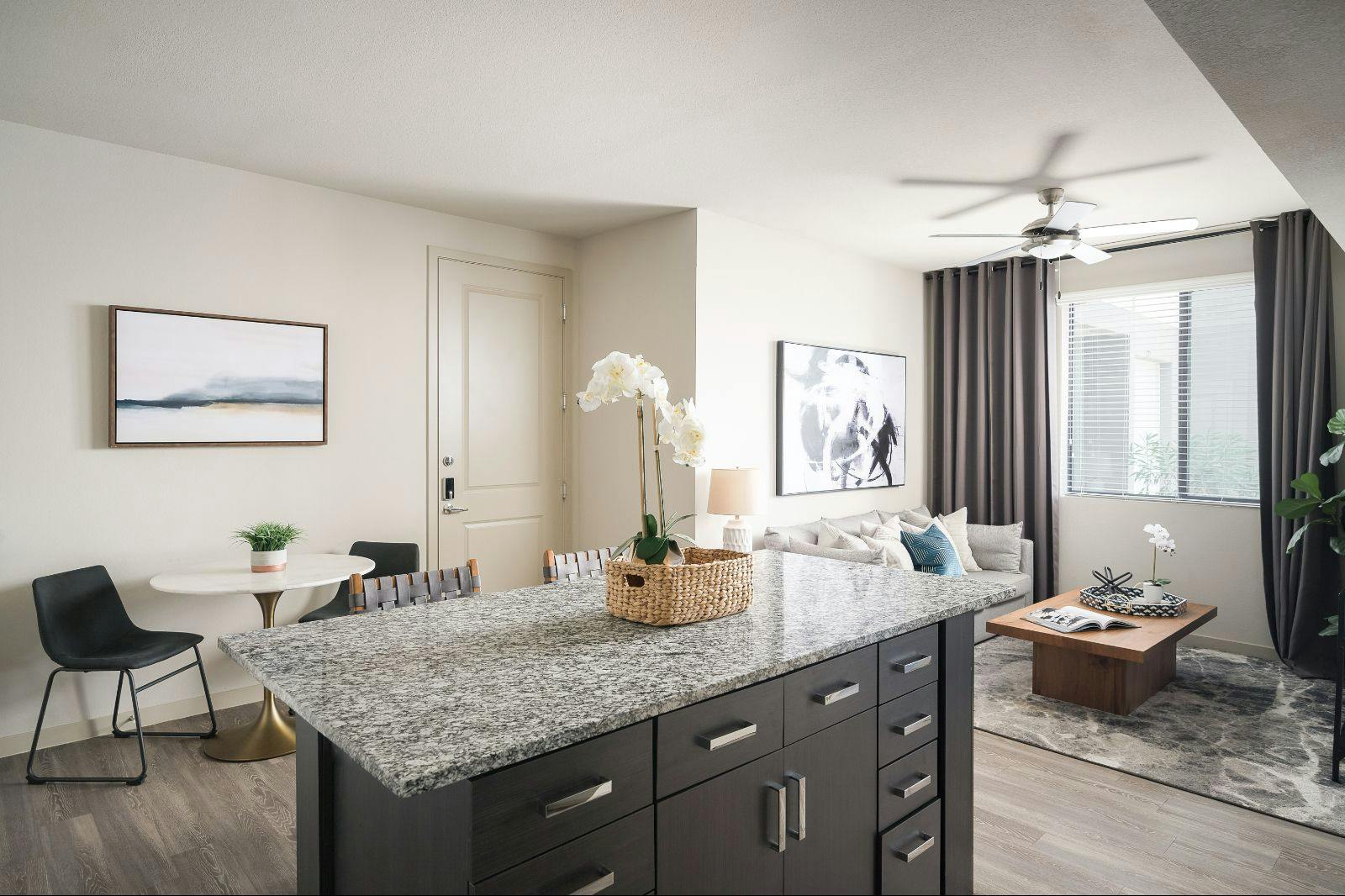 Open Concept Floorplans