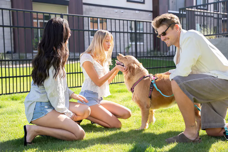 Bark Park