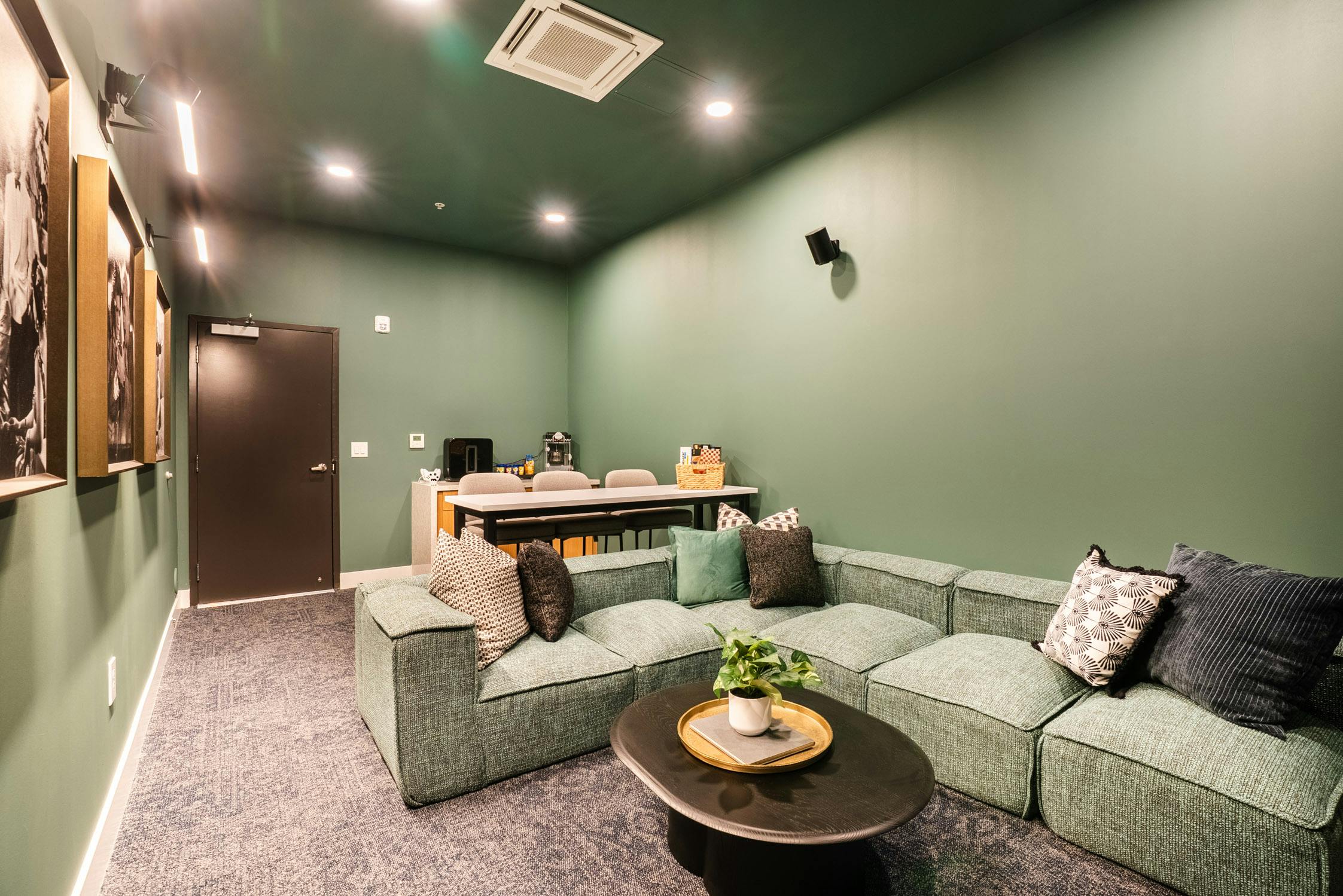 Movie Theater Room