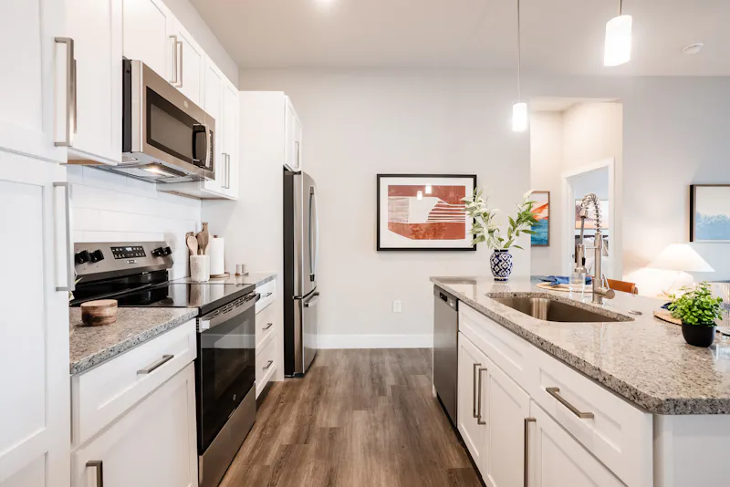 Stainless Steel Appliances