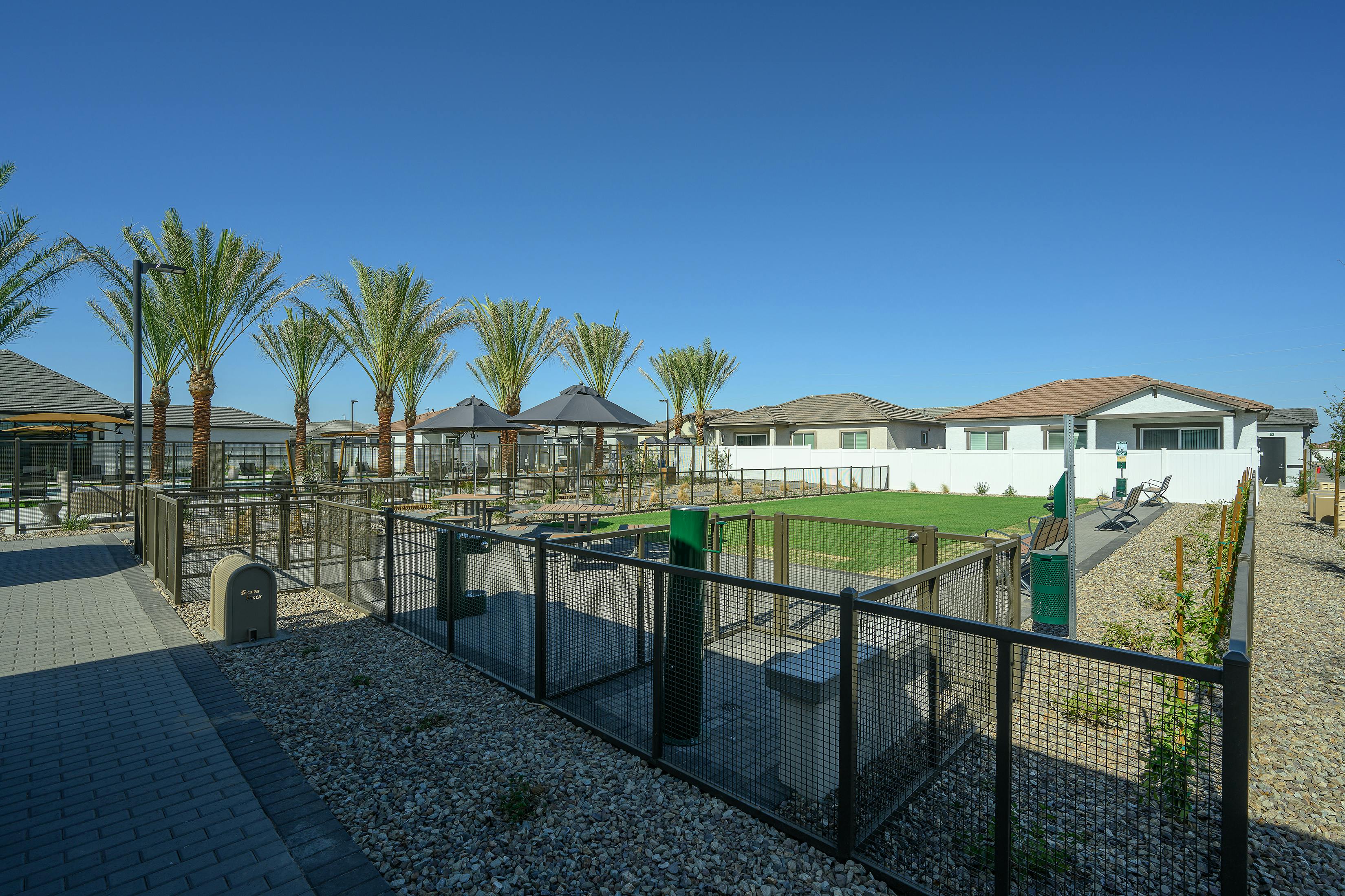 Pet-Friendly Environment