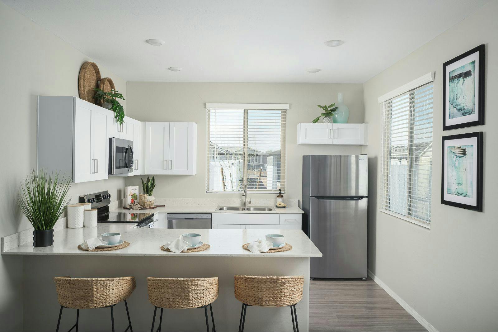 Stainless Steel Appliances