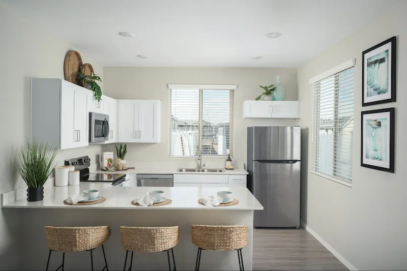 Stainless Steel Appliances
