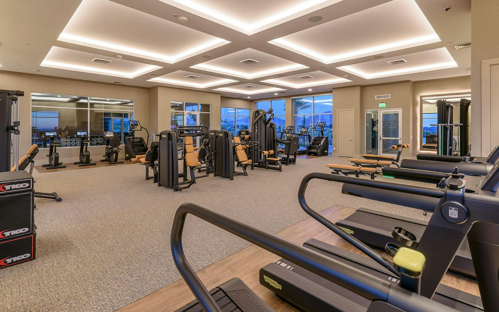Luxury Fitness Center