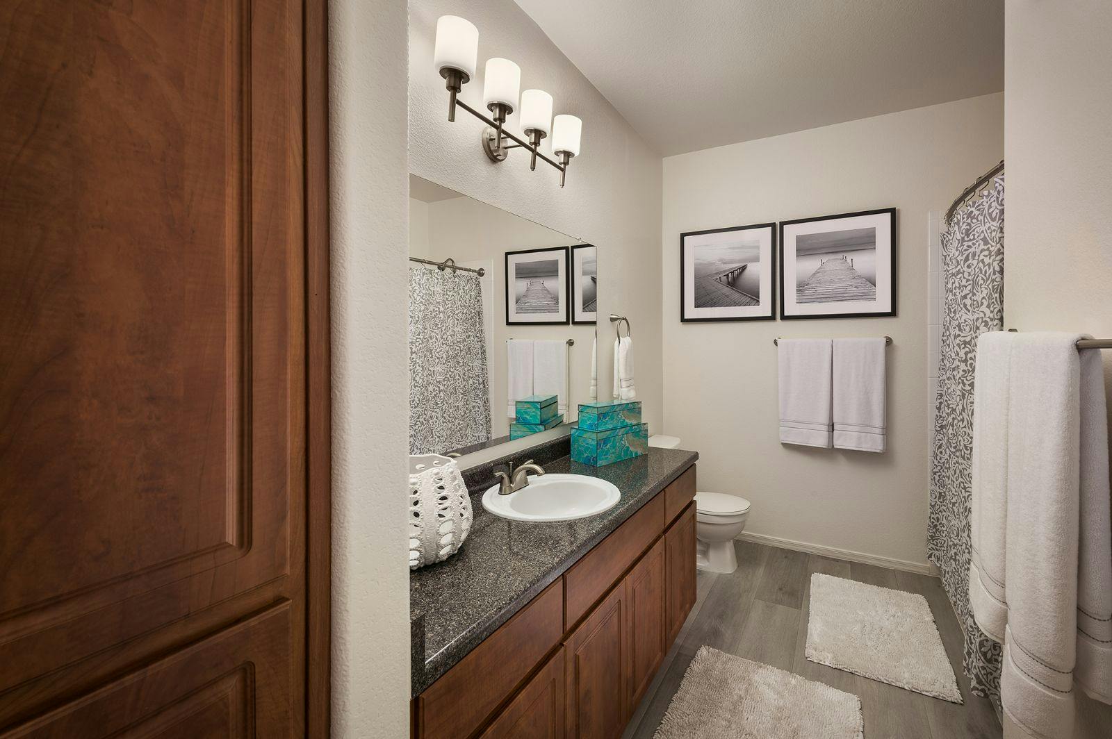 Luxurious Bathroom