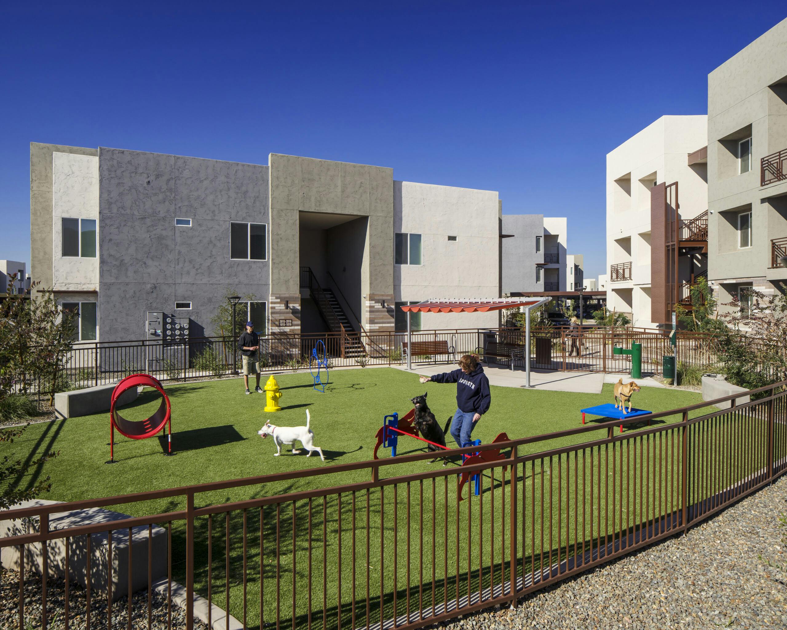 Dog Park with Agility Course