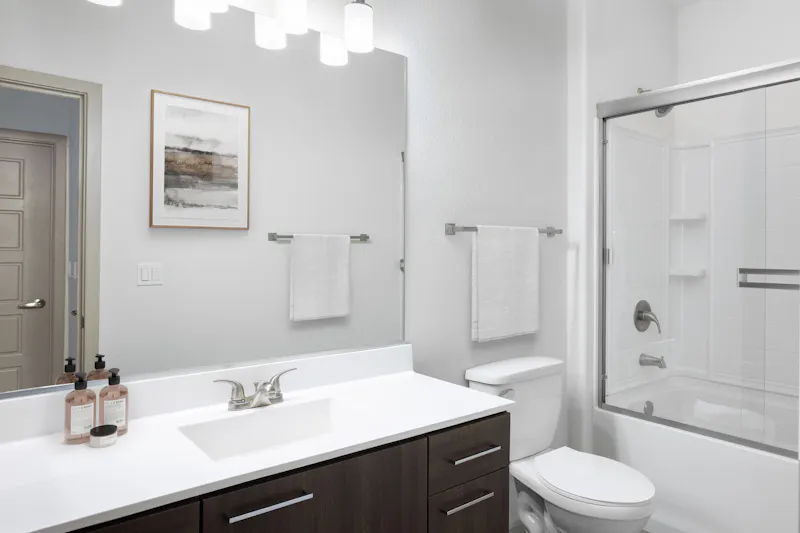 Luxurious Bathroom Finishes