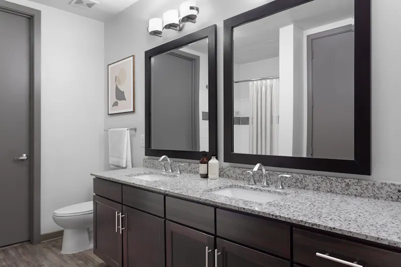 Dual Vanity Sinks