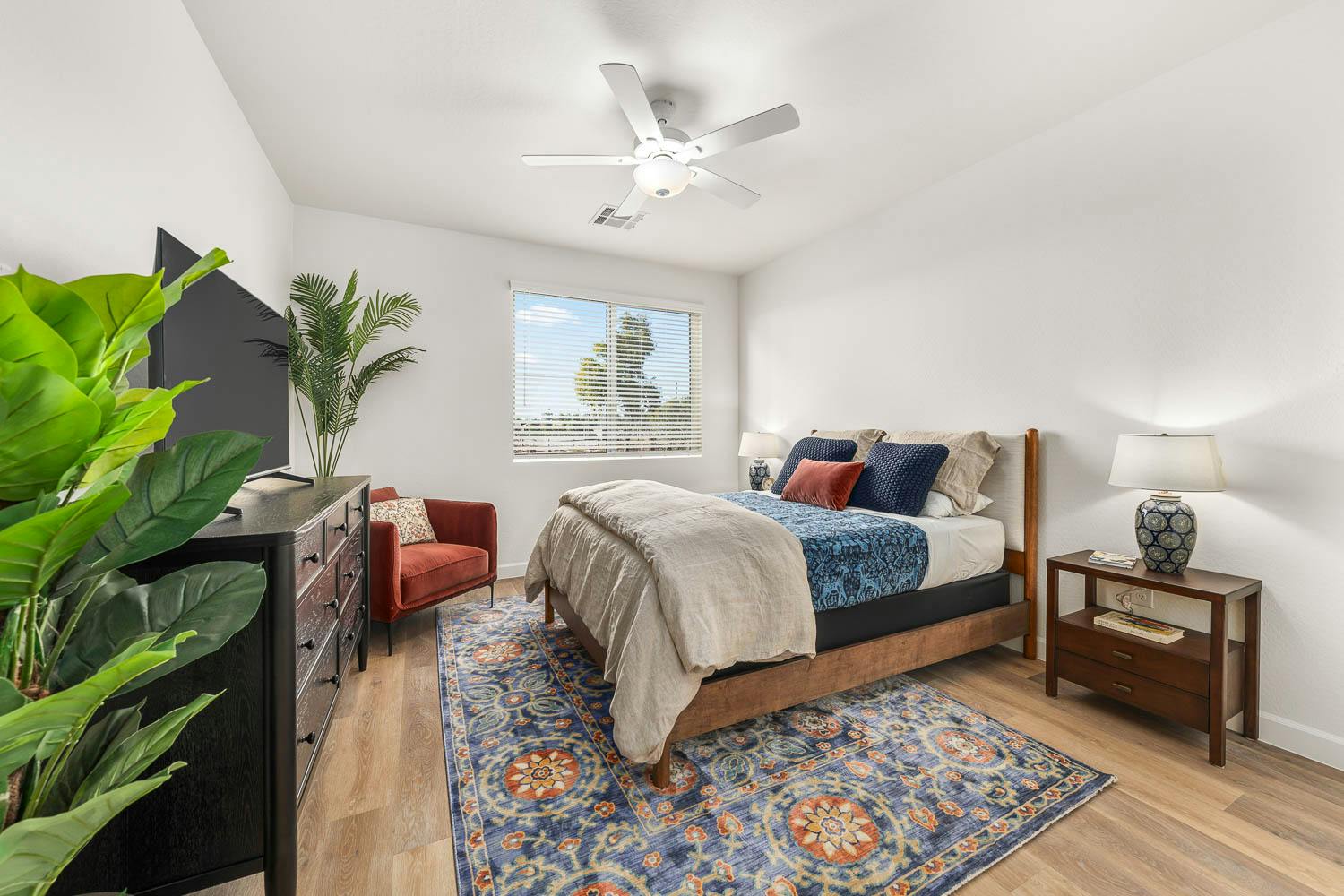 Abundant Natural Light